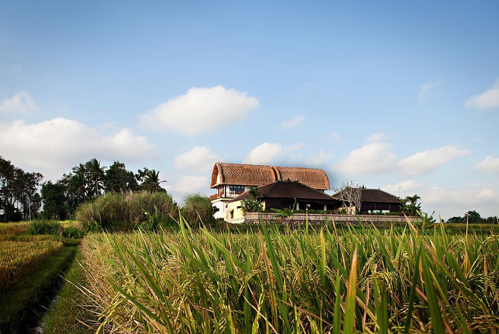 Kubu Kedungu Villas Tanah Lot Dış mekan fotoğraf